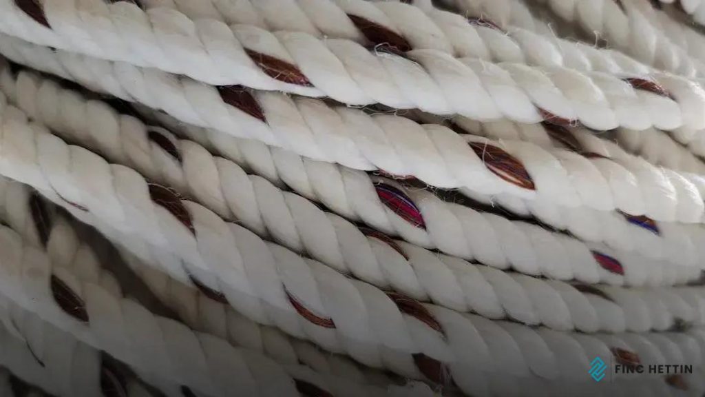 Choosing Carpet Size and Shape: The Ultimate Guide