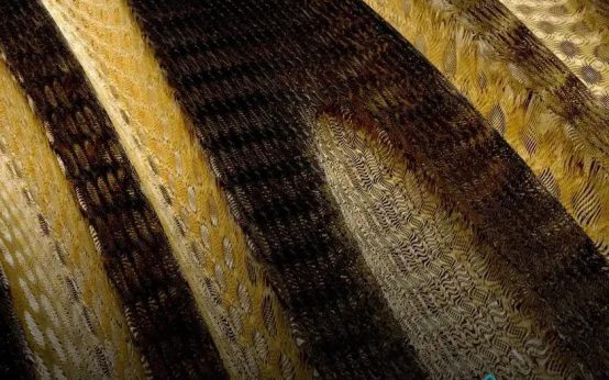 High-Pile vs Low-Pile Carpets: Discover Key Differences