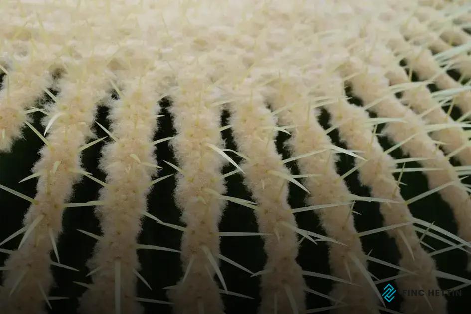 How to Layer Carpets in Interior Design: Expert Tips