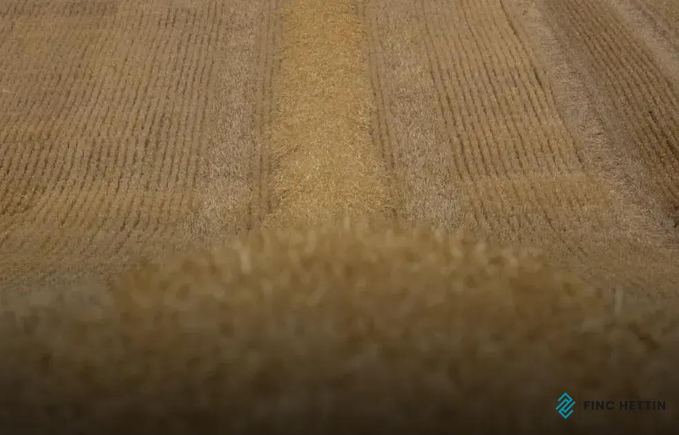 Natural Fiber Carpets: Sustainable Choices for Green Homes