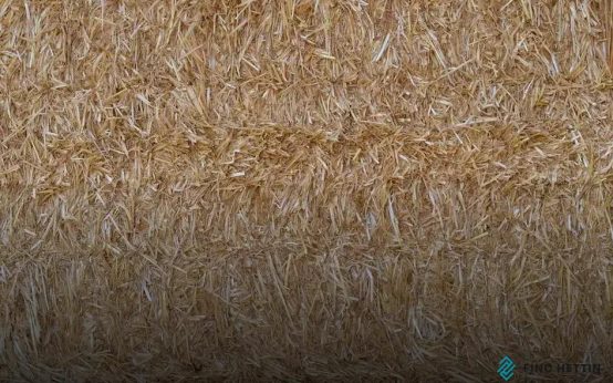 Natural vs Synthetic Carpet Fibers: Which to Choose?
