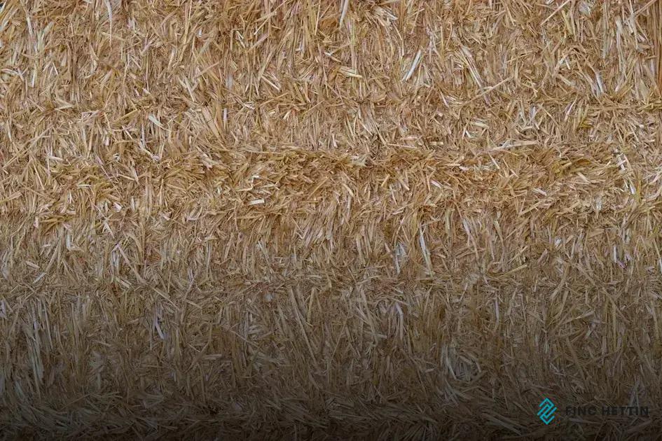 Natural vs Synthetic Carpet Fibers: Which to Choose?