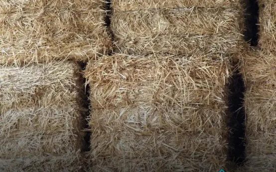 Needle-Punched Carpet Manufacturing: Discover Its Unique Process