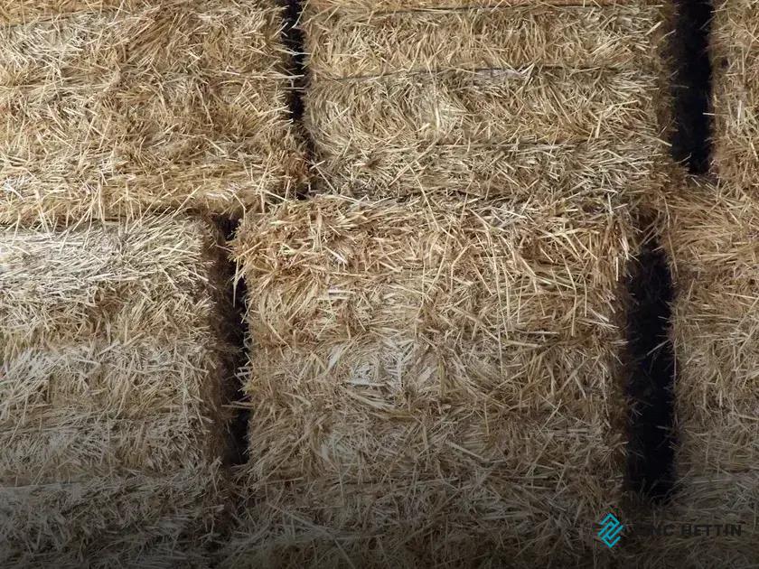 Needle-Punched Carpet Manufacturing: Discover Its Unique Process