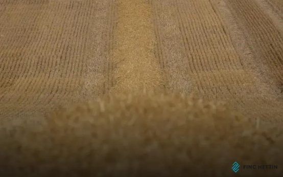 Recycled Fiber Carpets: Discover Modern Eco Solutions