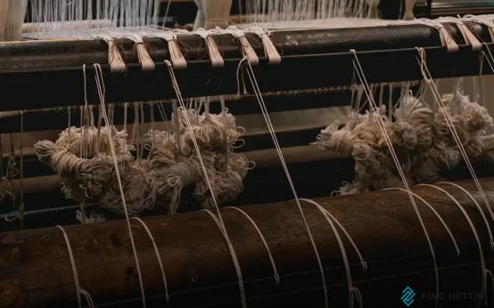 Sustainable Carpet Materials Explained: Your Eco-Friendly Guide