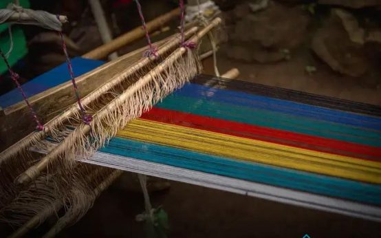 Sustainable Carpet Trends for the Future: Discover the Innovations